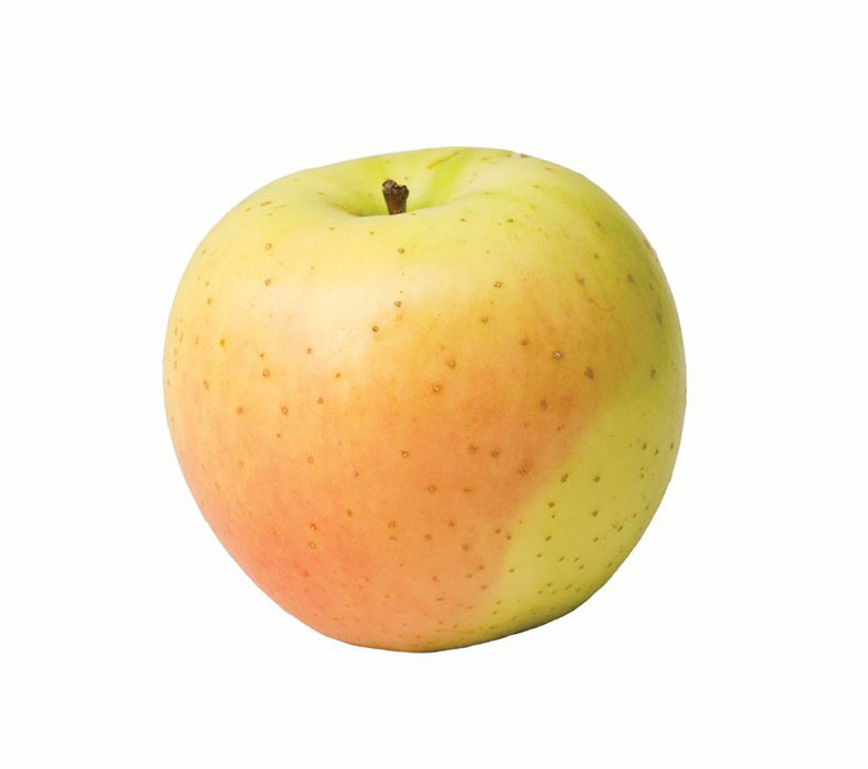 نهال سیب پاکوتاه زرد